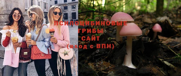 мет Дмитров
