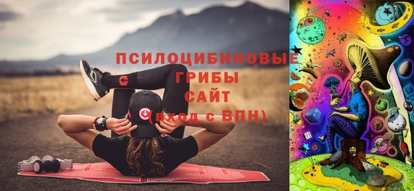 мет Дмитров