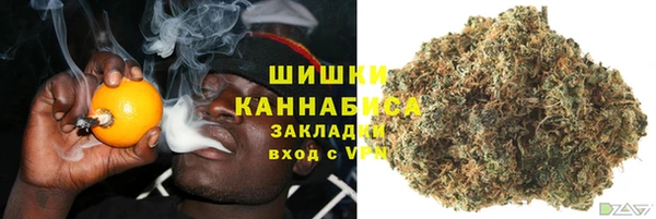 мет Дмитров