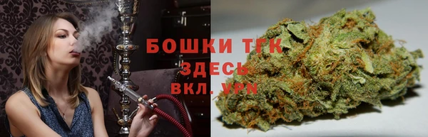 мет Дмитров